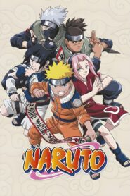 Naruto Season 1 Hindi Dubbed